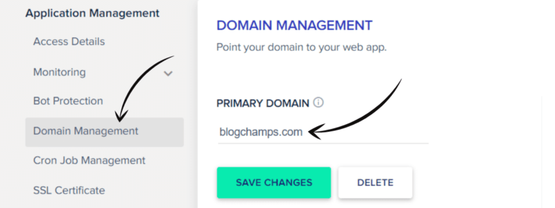 How to Start a WordPress Blog on Cloudways the Right Way! | cloudways select domain