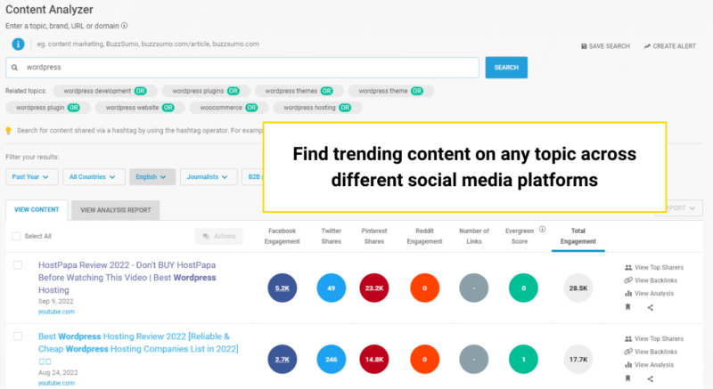 What to Blog About: Your Ultimate Source for Content Ideas | buzzsumo content analyzer